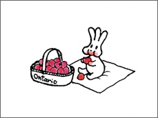おじぎちゃん語る